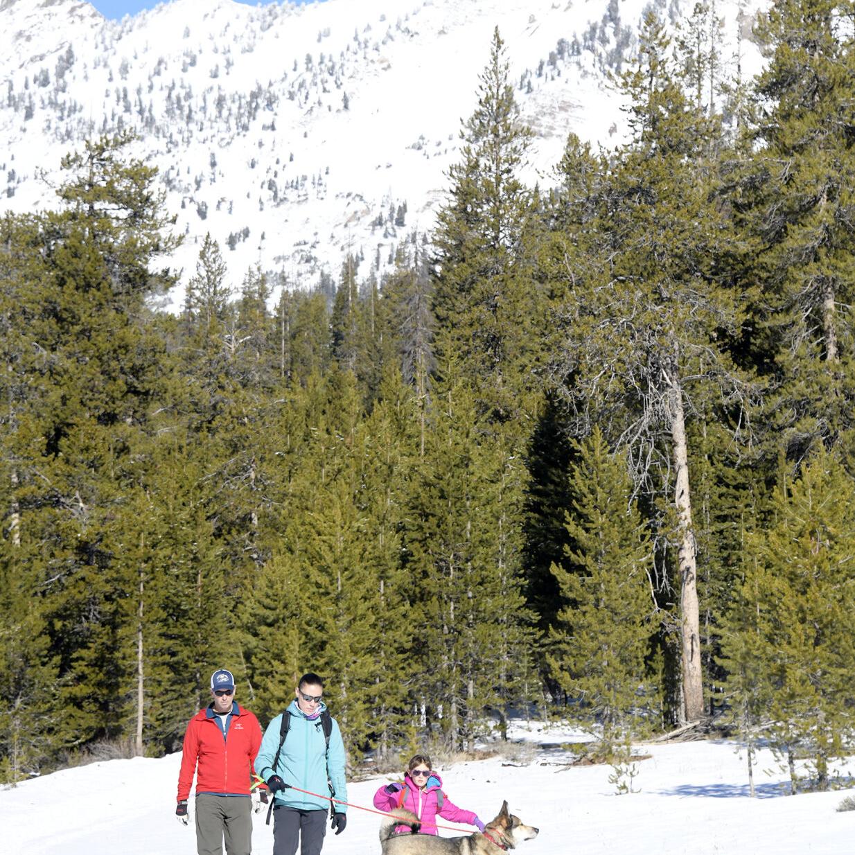 It's White, But It's Thin